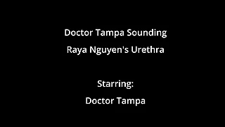 Asian Teen Raya Ngueyn Piss Hole Gets Penetrated With Surgical Steel Sounds By Doctor Tampa Gallantry Of GirlsGoneGyno Raya Pham Raya Kahi Reup